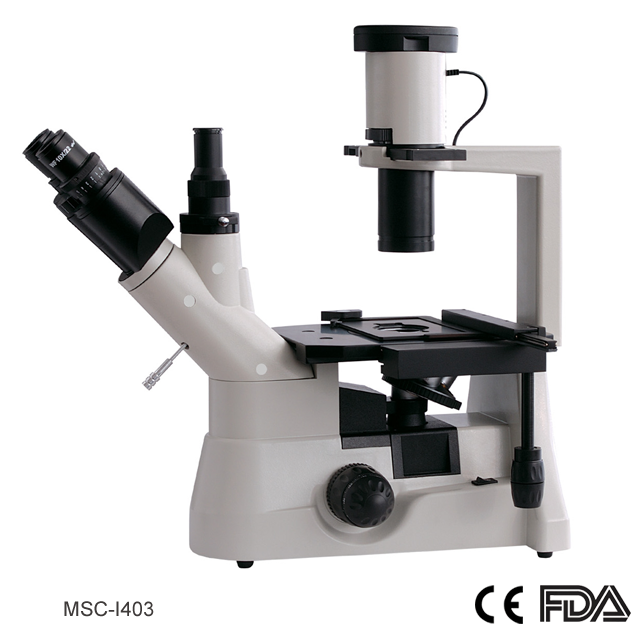 Microscope biologique inversé à tête trinoculaire MSC-I403