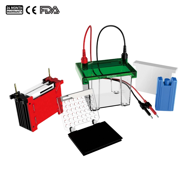 Cuve de transfert (Western blot) ET-T02